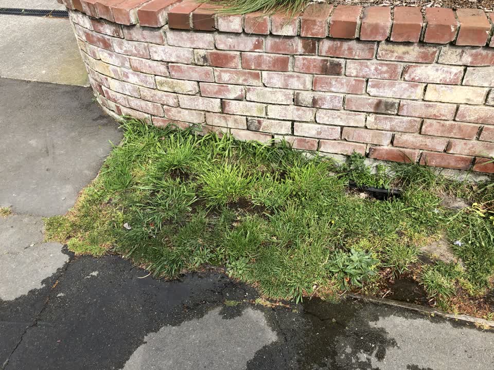 The photograph attached to this water leak report