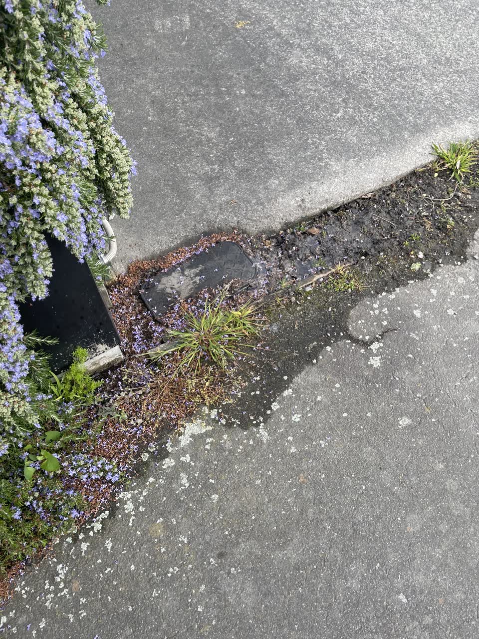 The photograph attached to this water leak report