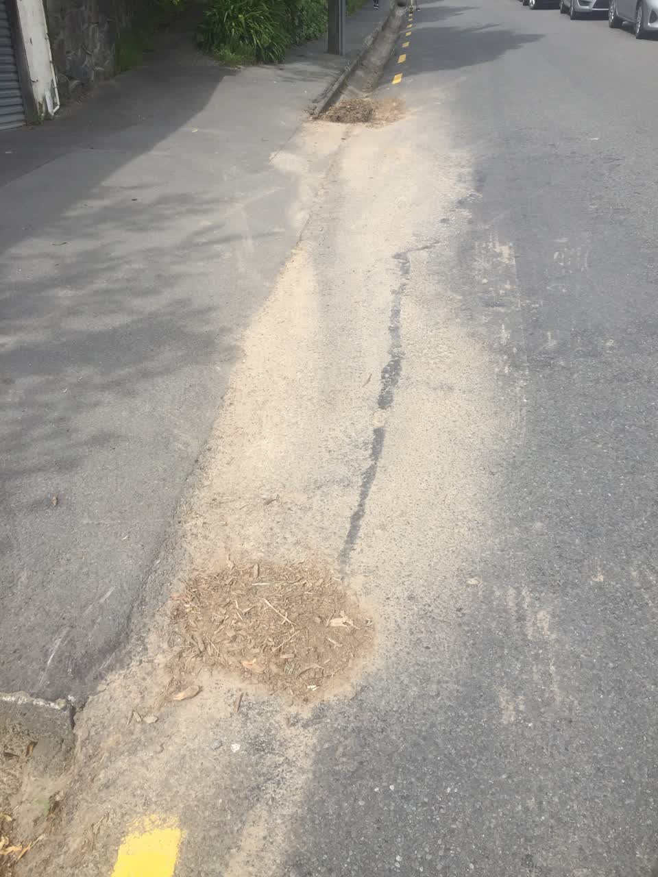 The photograph attached to this roading/streets report