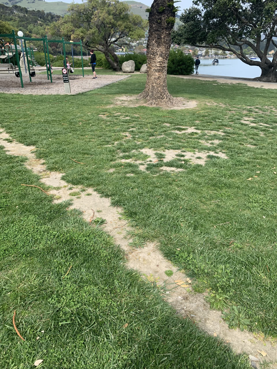 The photograph attached to this parks report