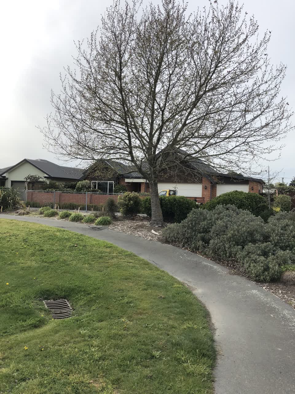 The photograph attached to this parks report