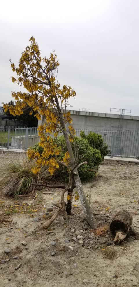 Parks, a report photo