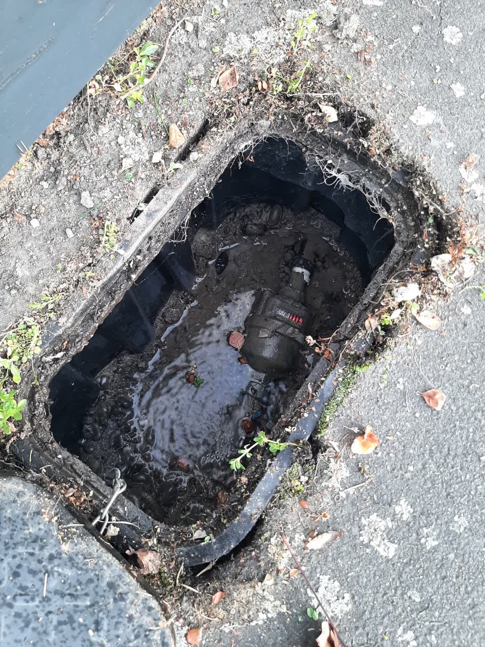 The photograph attached to this water leak report