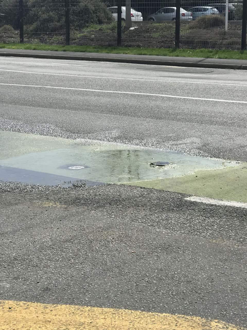 The photograph attached to this water leak report