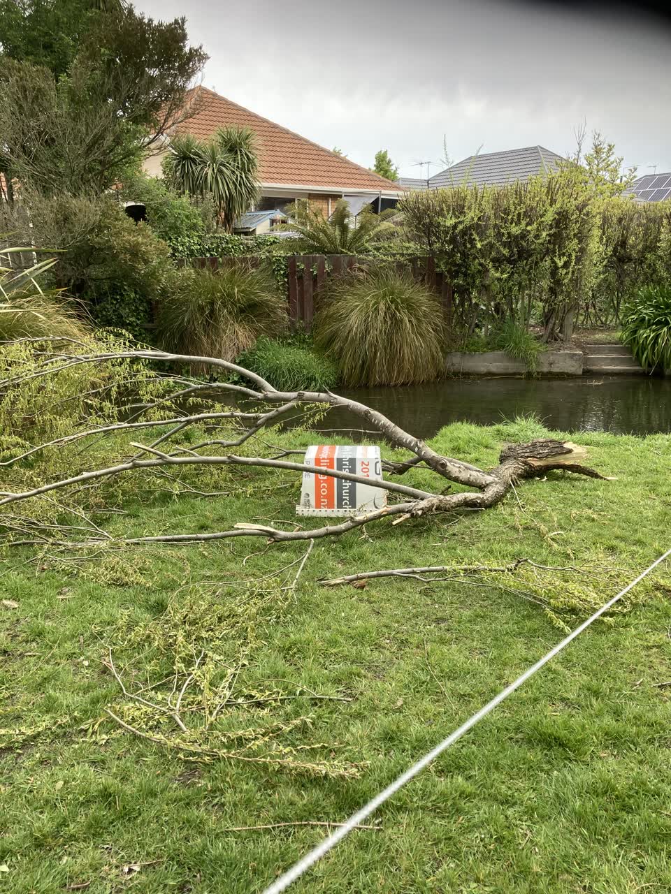 The photograph attached to this parks report