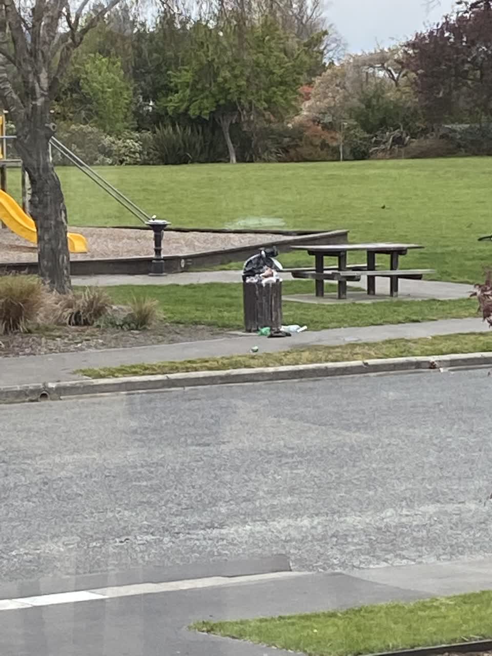 The photograph attached to this rubbish/recycling report