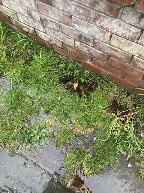 Water Leak, a report photo