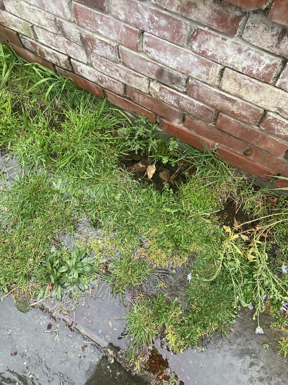 The photograph attached to this water leak report