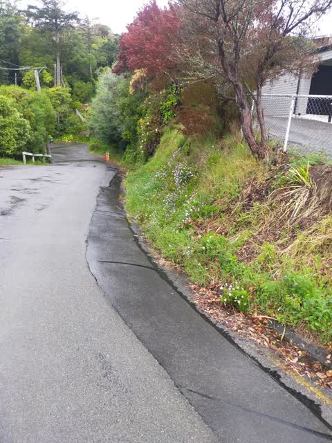 Wastewater/Stormwater, a report photo