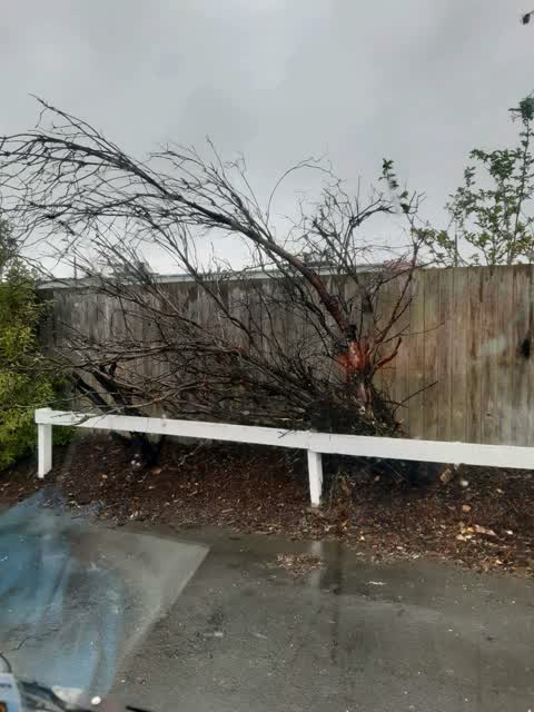 Roading/Streets, a report photo
