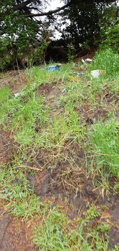 Rubbish/Recycling, a report photo