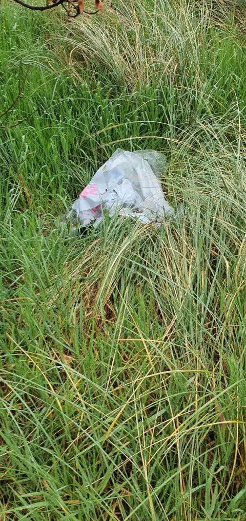 Rubbish/Recycling, a report photo