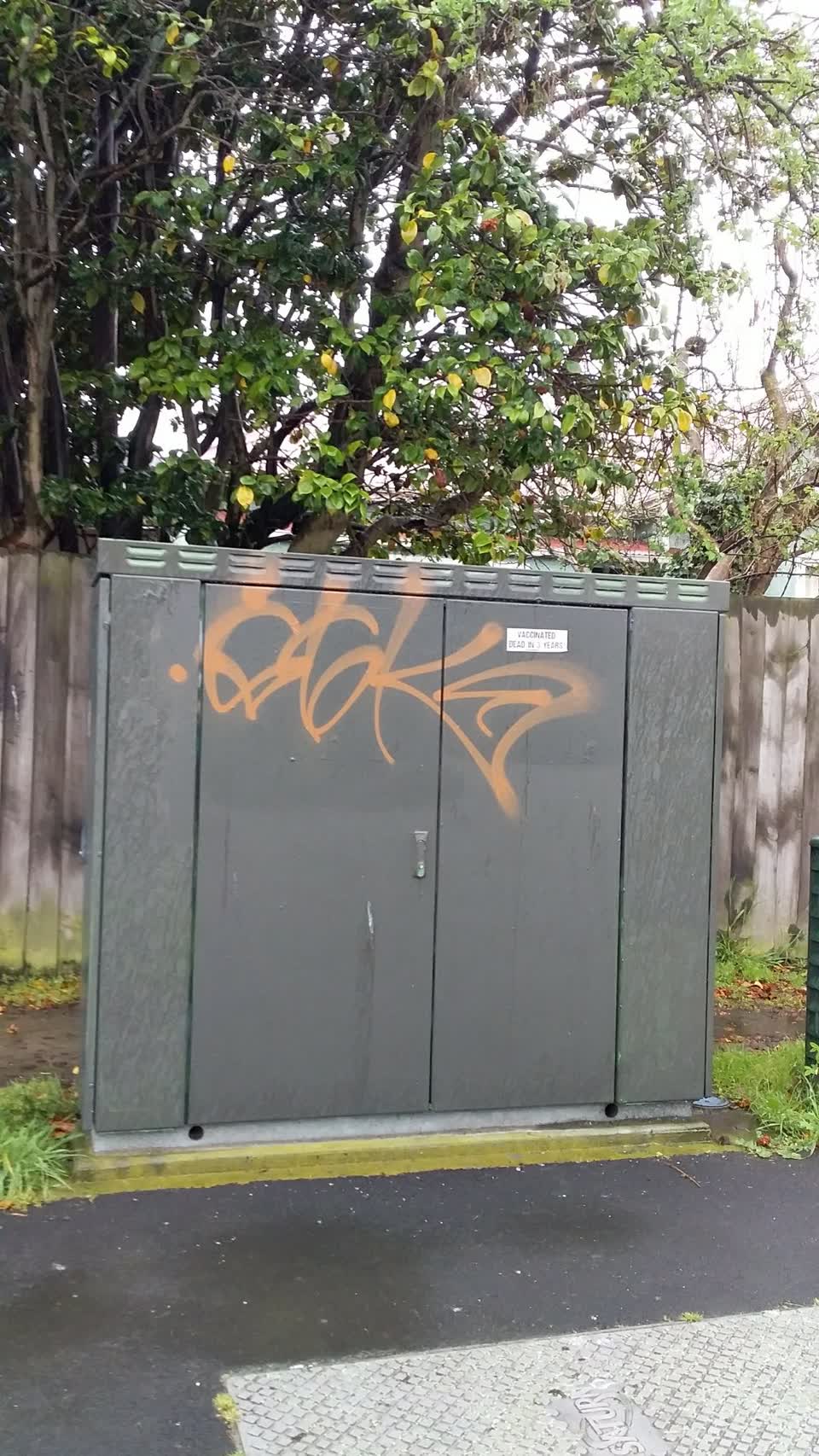 The photograph attached to this graffiti report