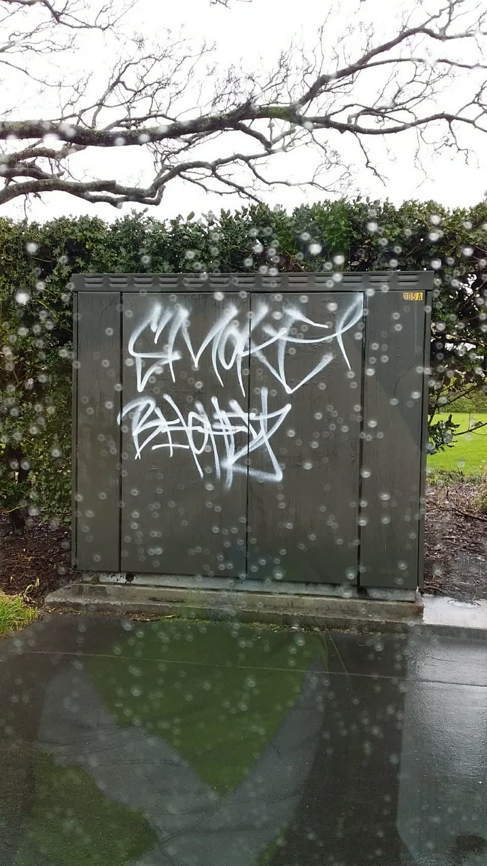The photograph attached to this graffiti report