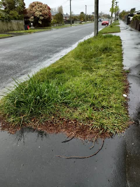 Roading/Streets, a report photo