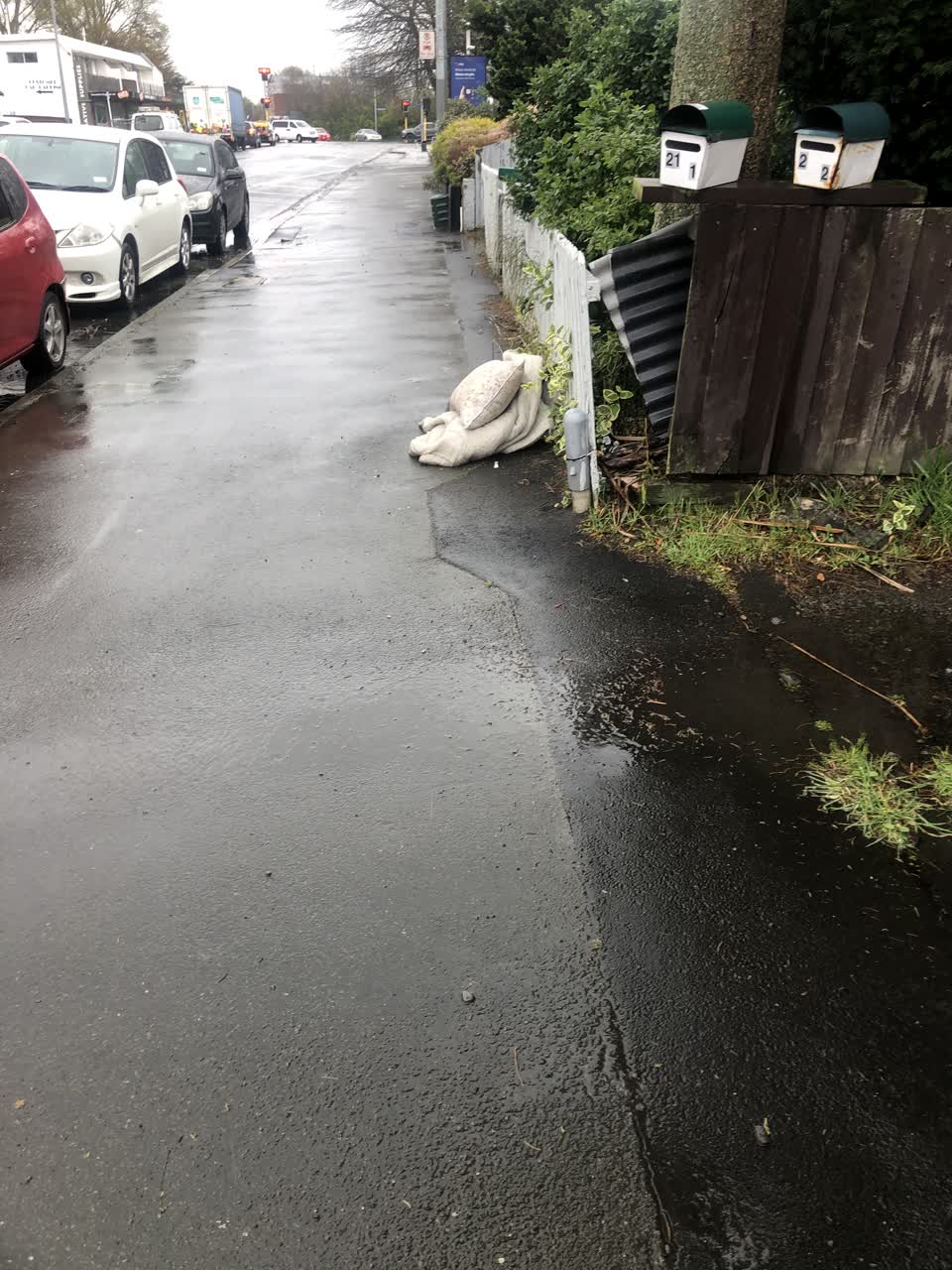 The photograph attached to this rubbish/recycling report