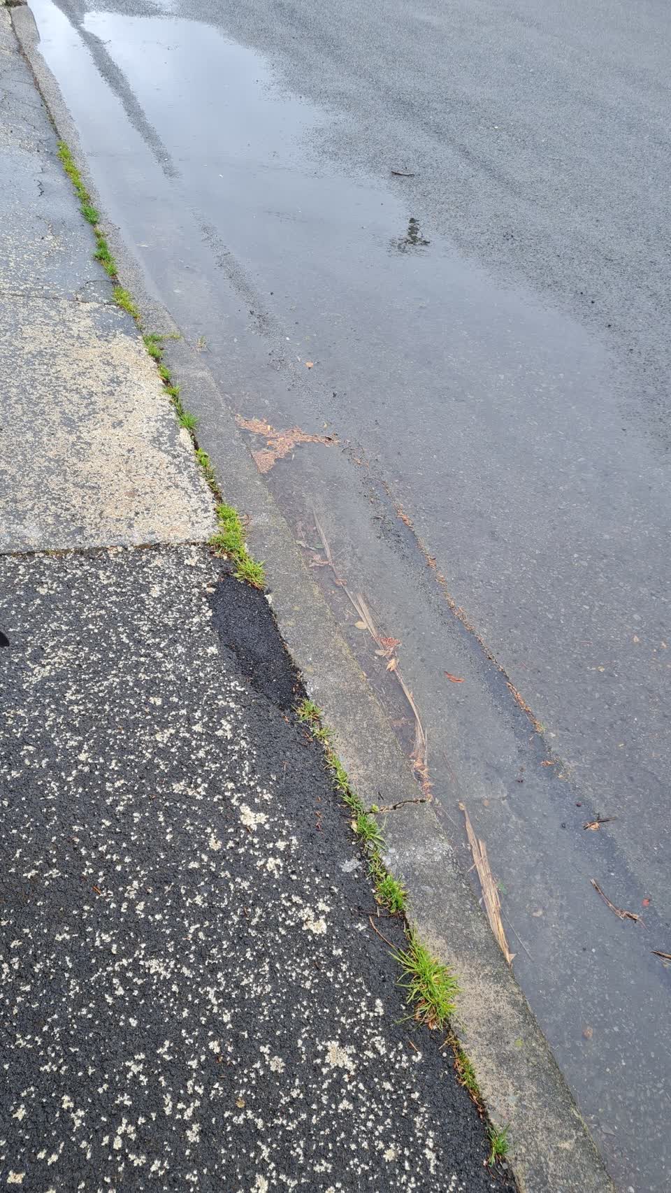 The photograph attached to this flooding report