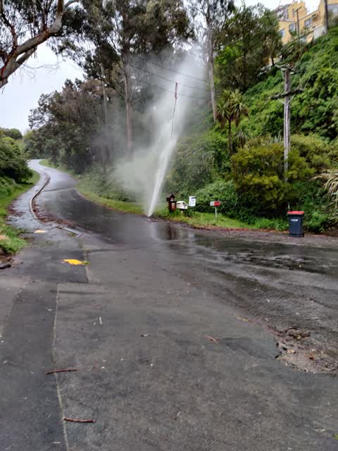 Water Leak, a report photo