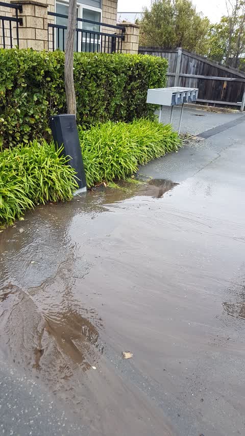 Water Leak, a report photo