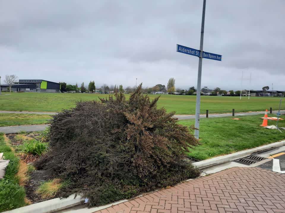 The photograph attached to this parks report