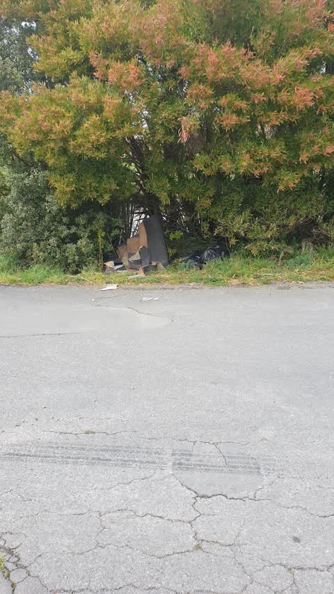 Rubbish/Recycling, a report photo