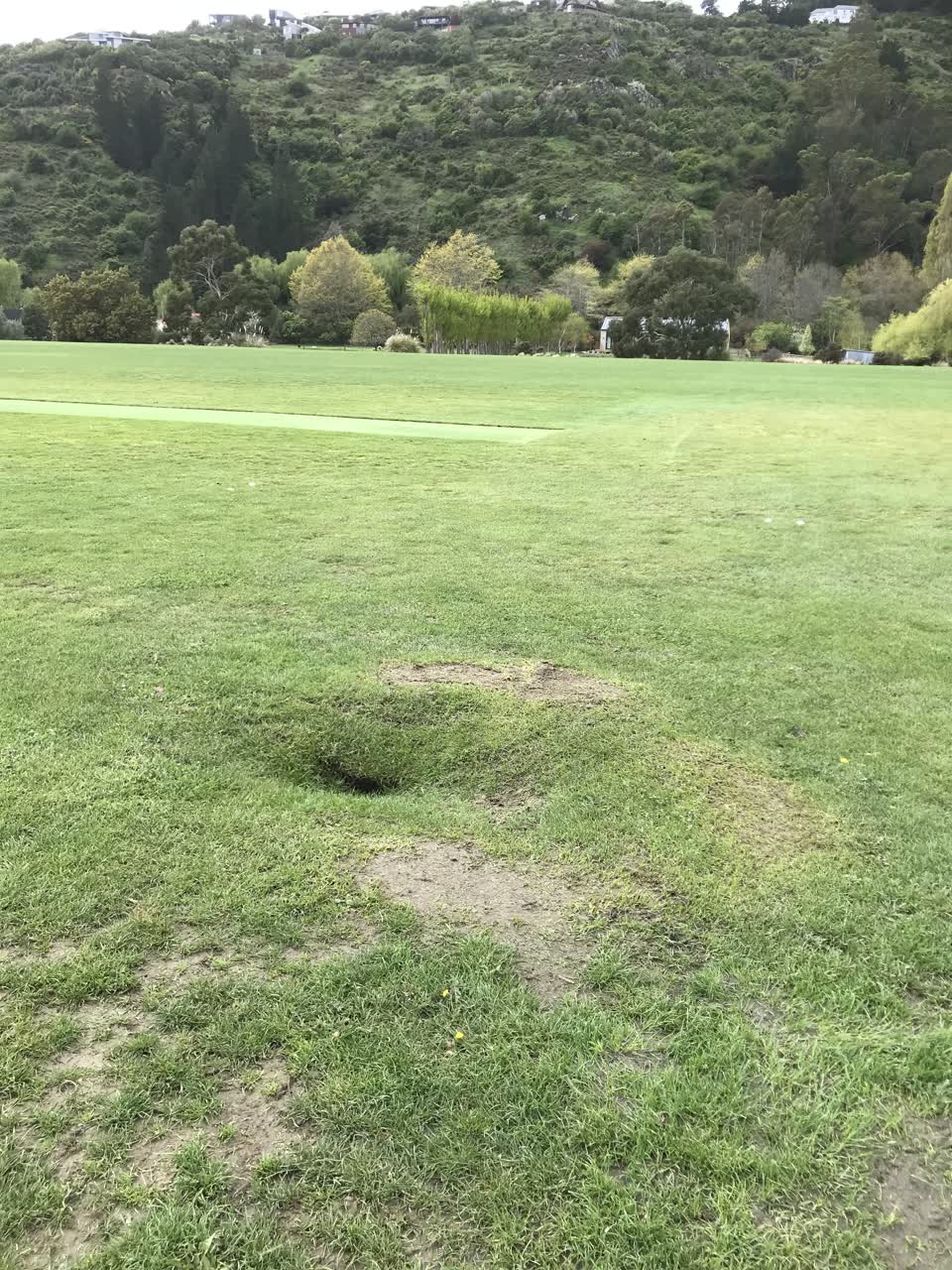 The photograph attached to this parks report
