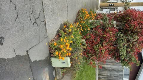 Water Leak, a report photo