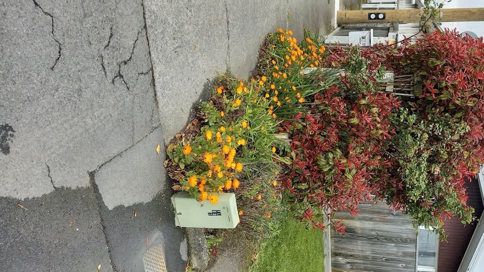 The photograph attached to this water leak report