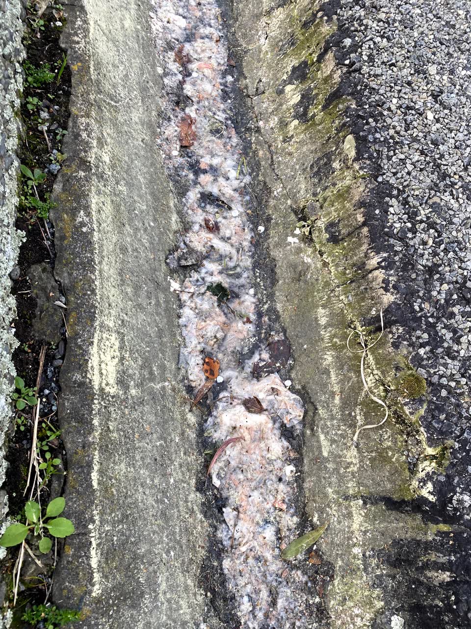 The photograph attached to this sewer - leak / blockage report