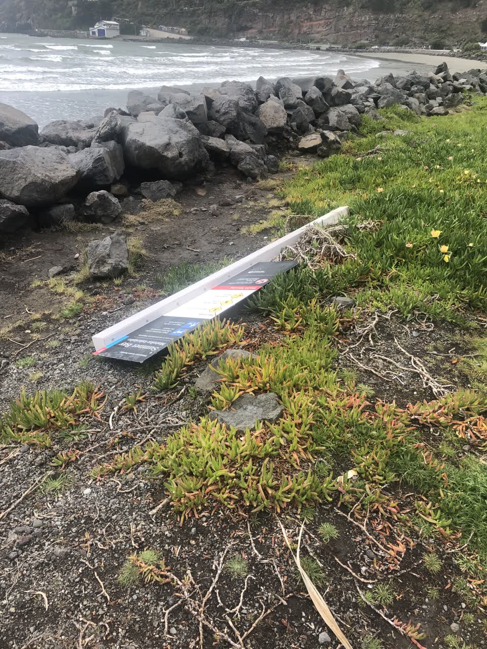 The photograph attached to this parks report