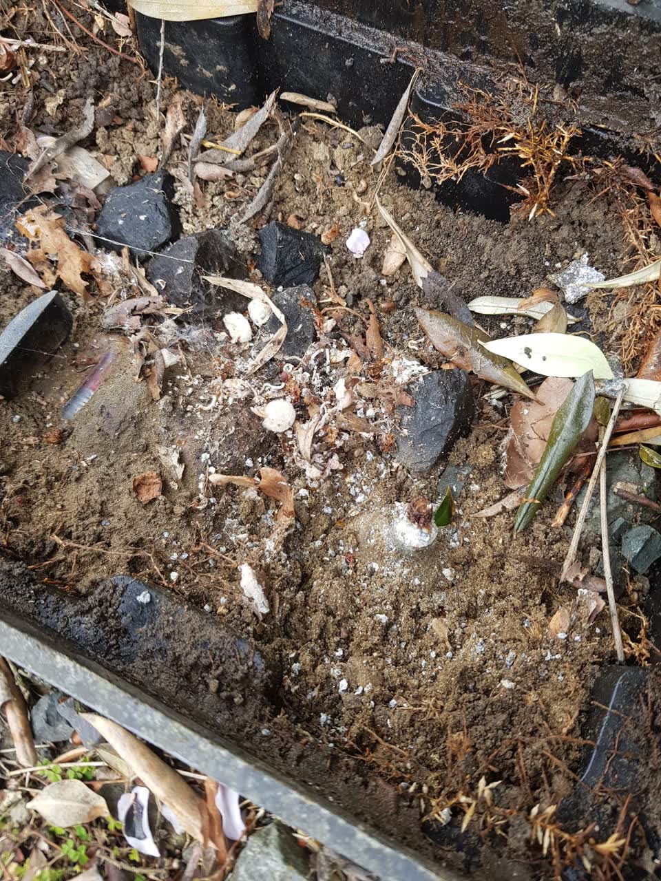 The photograph attached to this water supply report