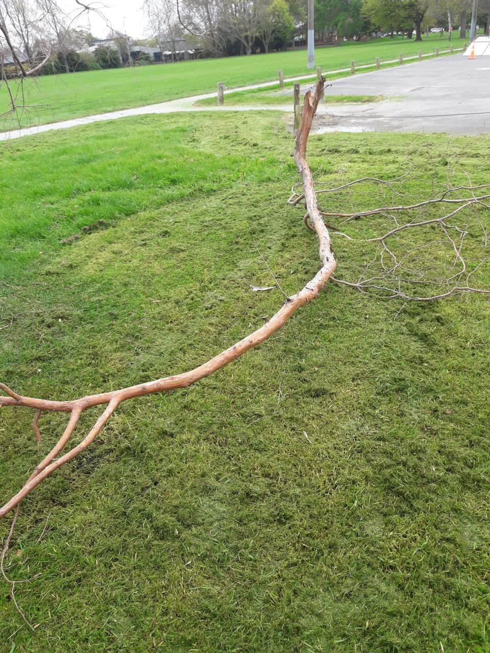 The photograph attached to this parks report