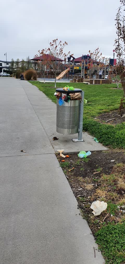 Rubbish/Recycling, a report photo