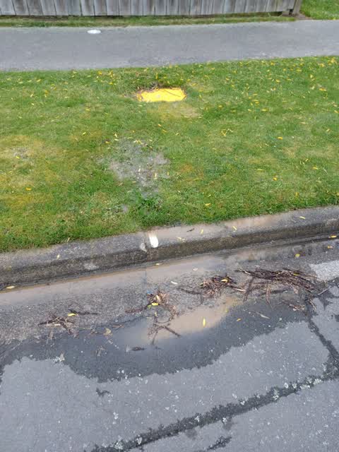 Water Leak, a report photo
