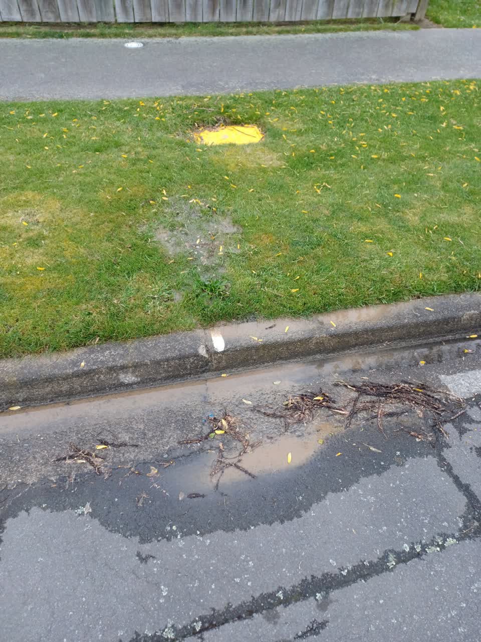 The photograph attached to this water leak report