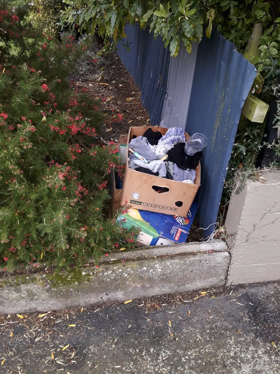 The photograph attached to this parks report