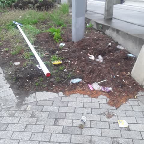 Rubbish/Recycling, a report photo