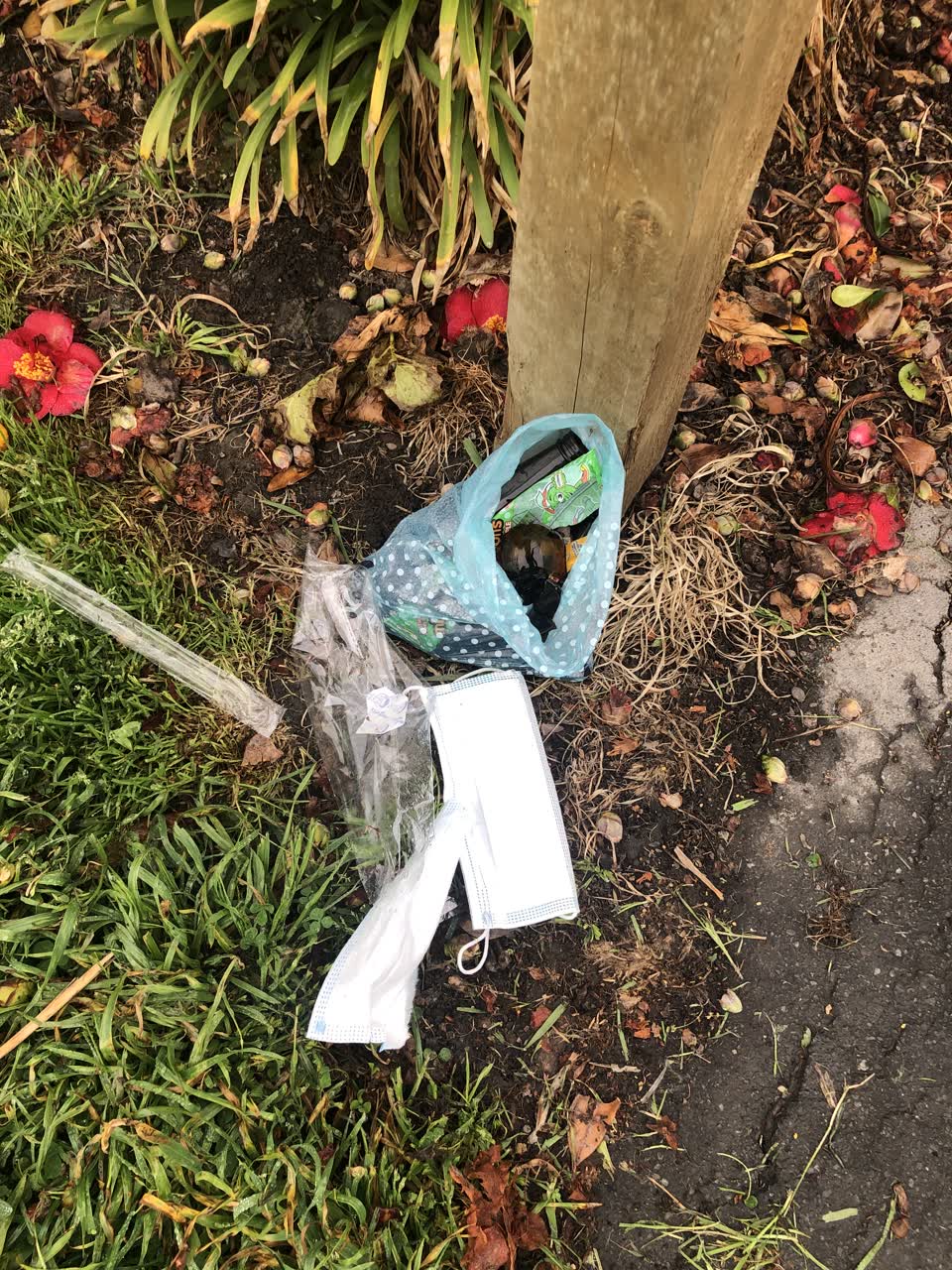 The photograph attached to this parks report