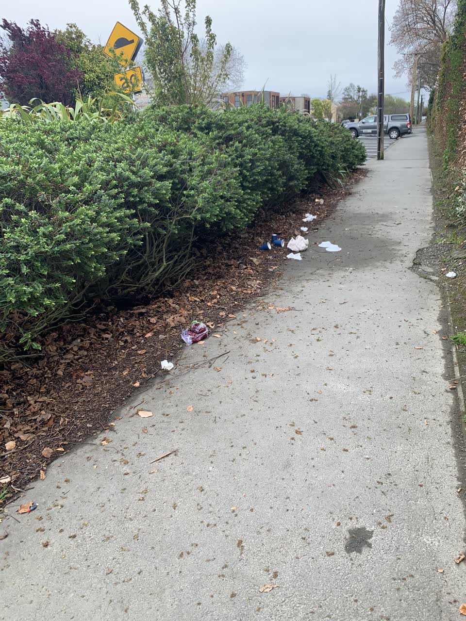 The photograph attached to this rubbish/recycling report