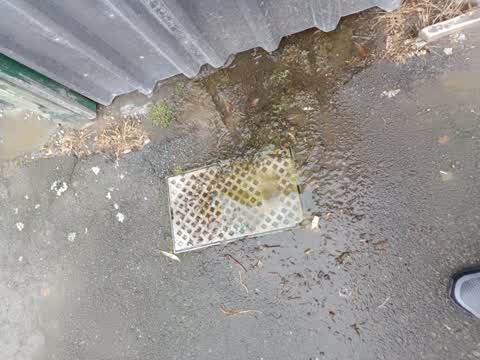 Water Leak, a report photo