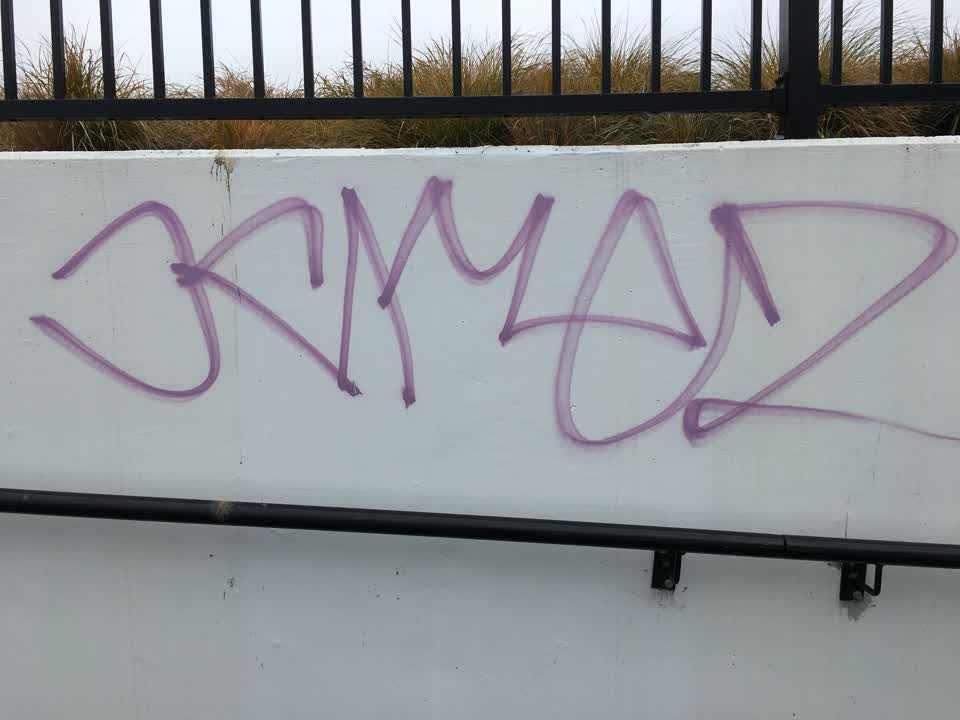 The photograph attached to this graffiti report