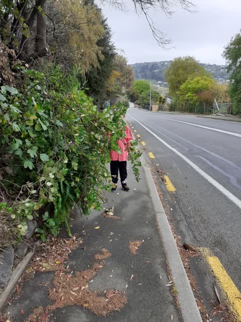 Roading/Streets, a report photo