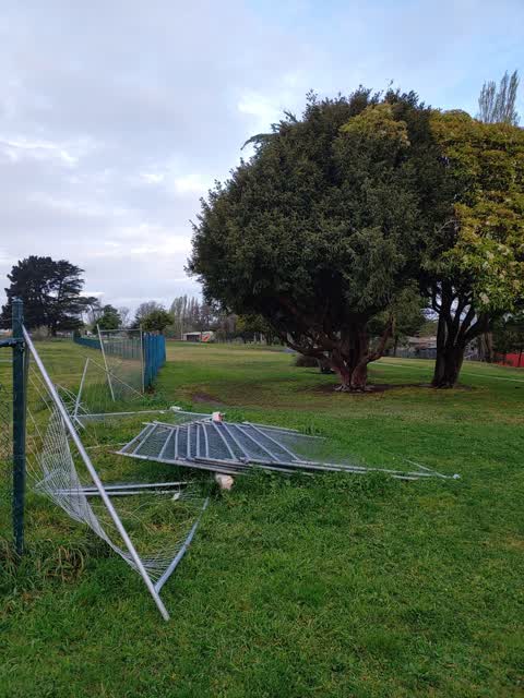 Parks, a report photo