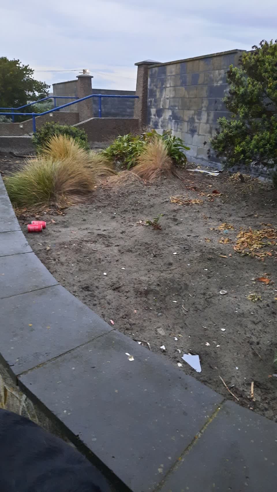 The photograph attached to this parks report