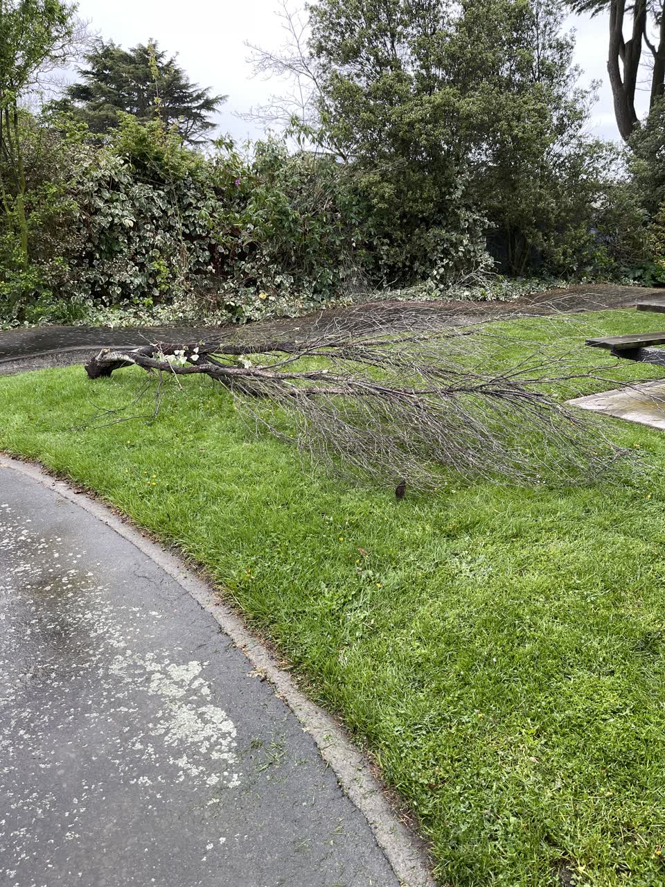 The photograph attached to this parks report
