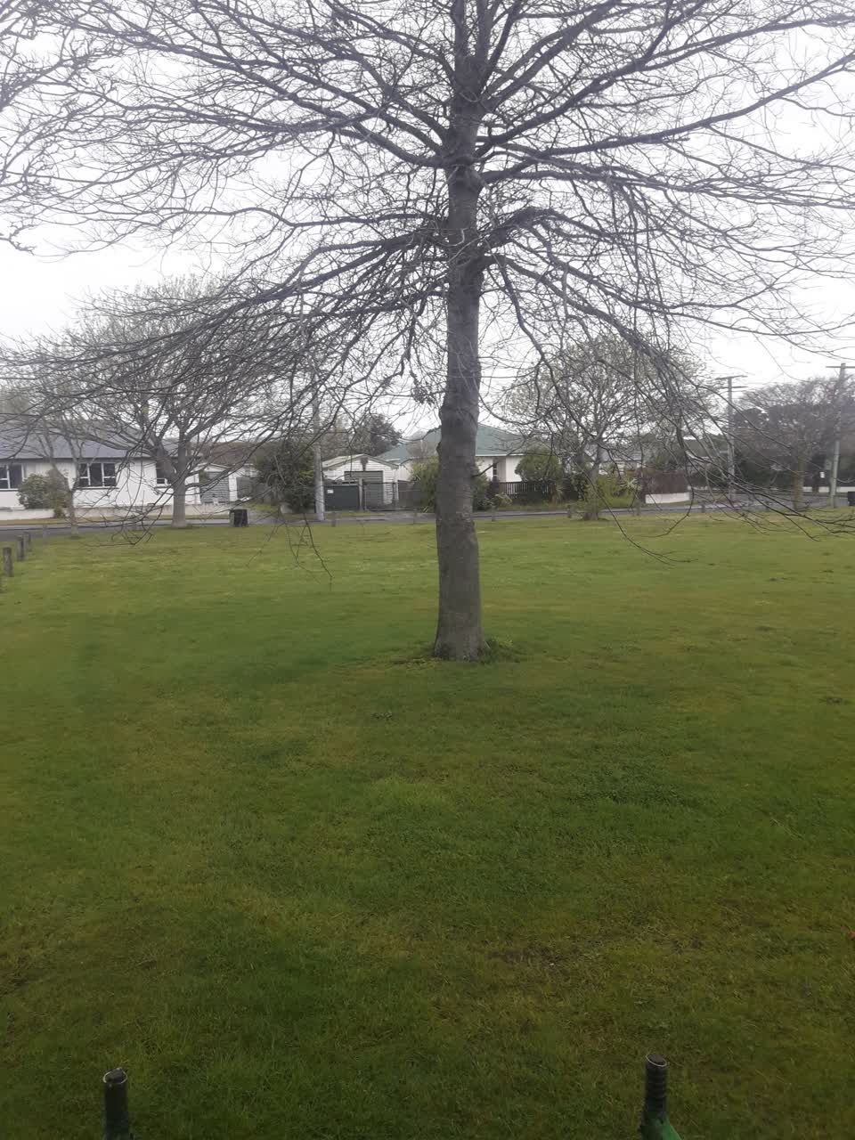 The photograph attached to this parks report