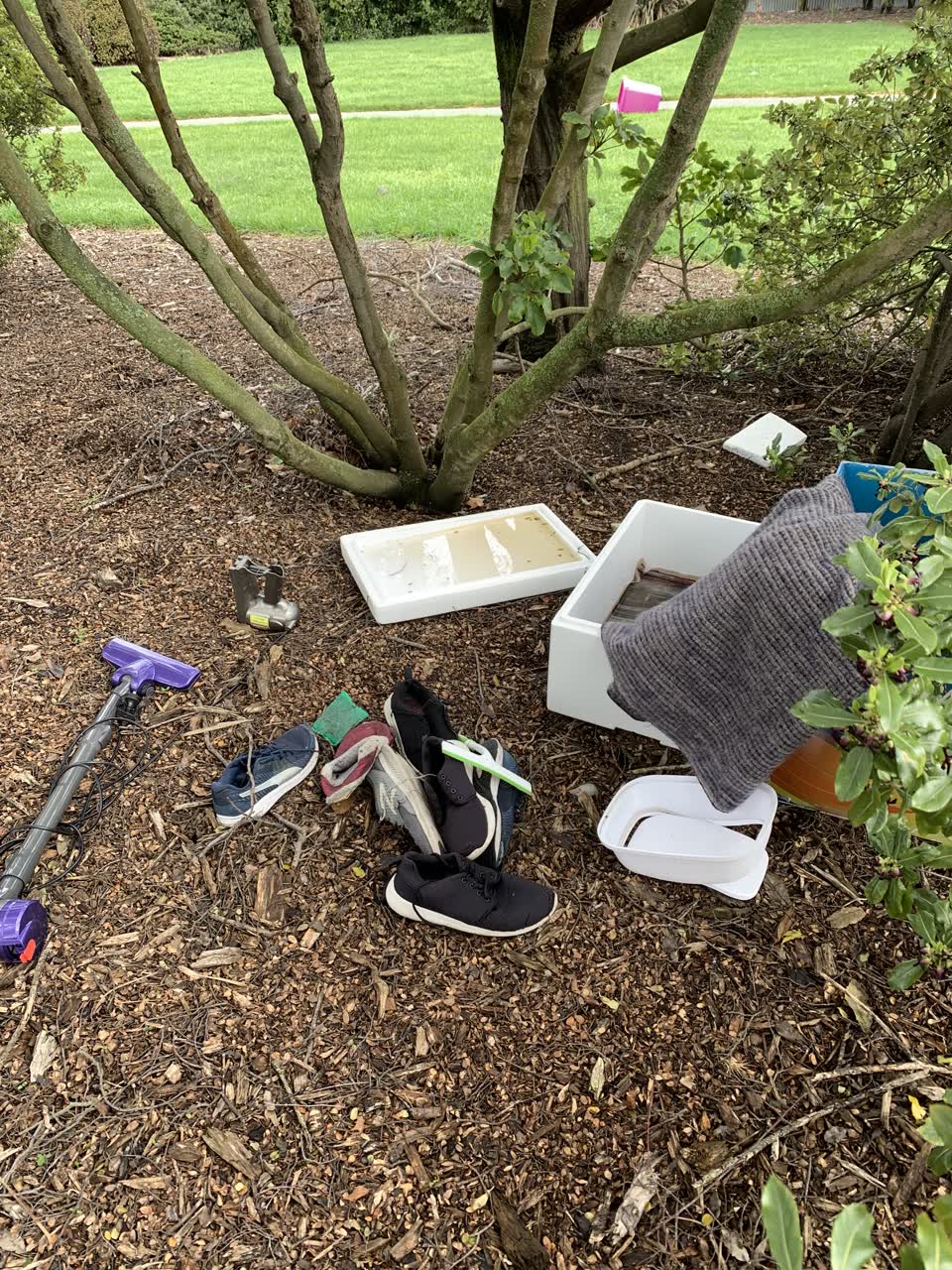 The photograph attached to this parks report