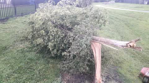 Parks, a report photo