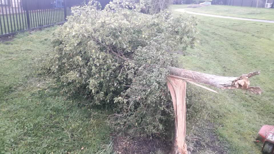 The photograph attached to this parks report