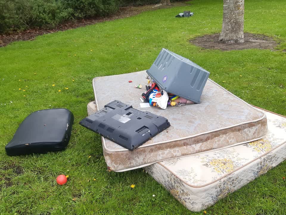 The photograph attached to this parks report